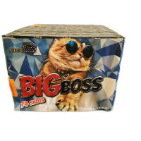 Big Boss 74