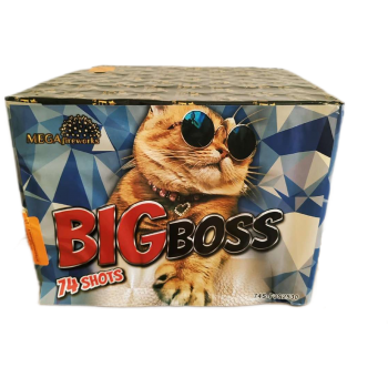 Big Boss 74