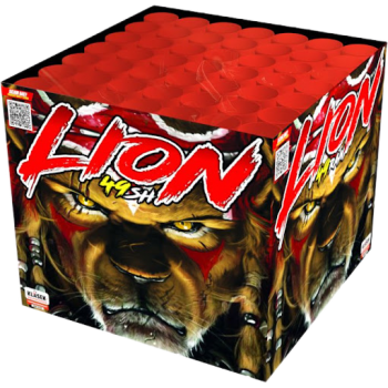 Lion 49